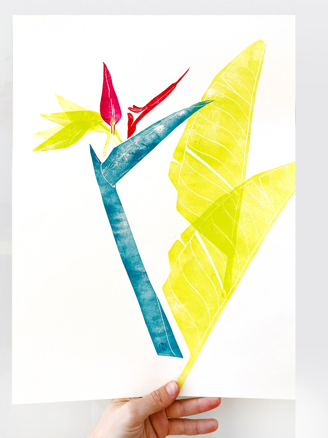 Strelitzie 164 € - verkauft