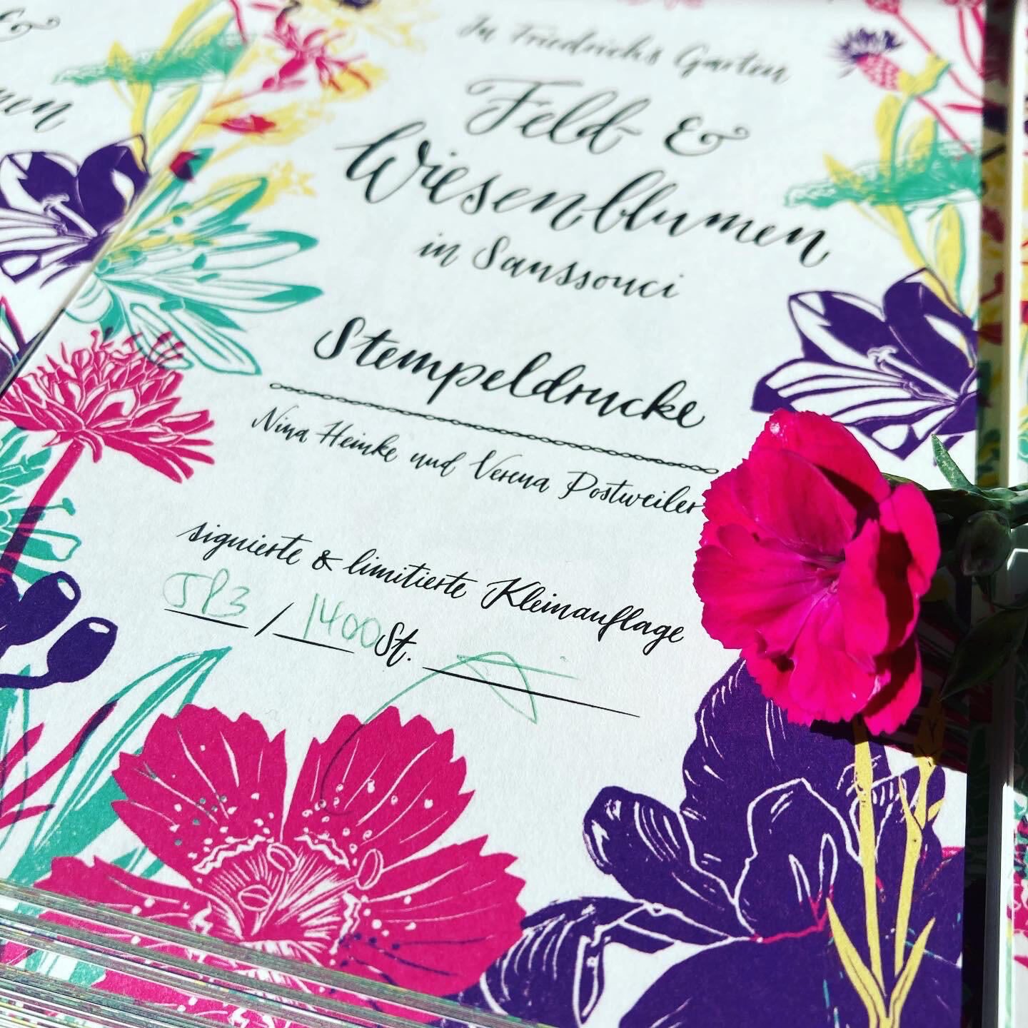 Kalender Feld- und Wiesenblumen